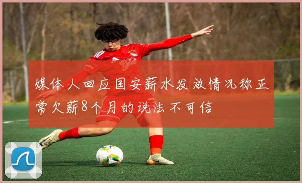 媒体人回应国安薪水发放情况称正常欠薪8个月的说法不可信