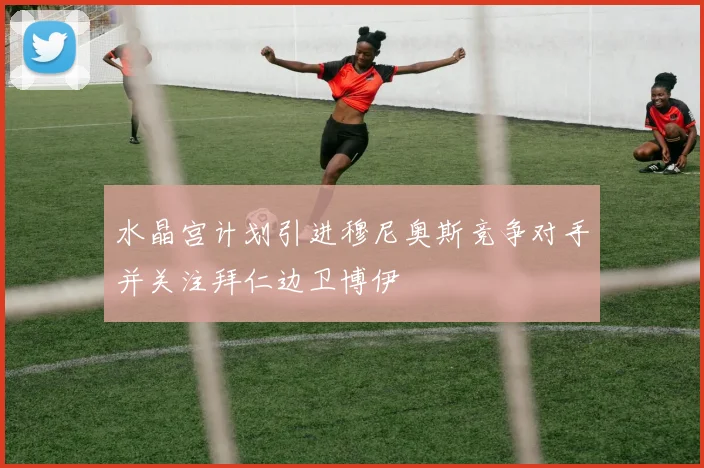 水晶宫计划引进穆尼奥斯竞争对手并关注拜仁边卫博伊